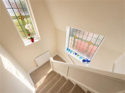Picture 16